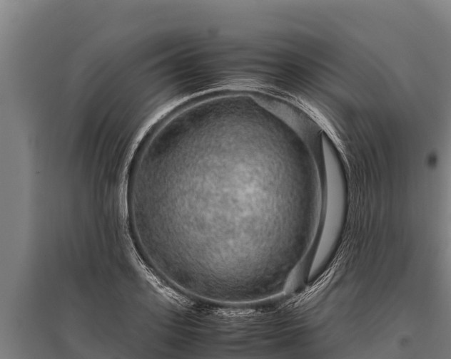 X0000095950939200801181419