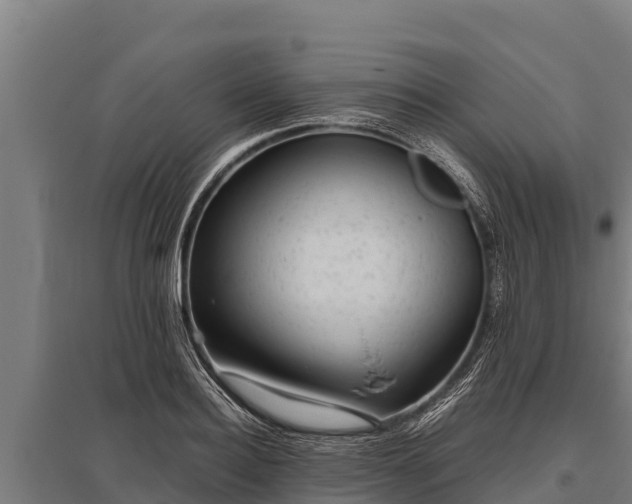 X0000095950940200801181419