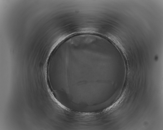 X0000095950941200801181419