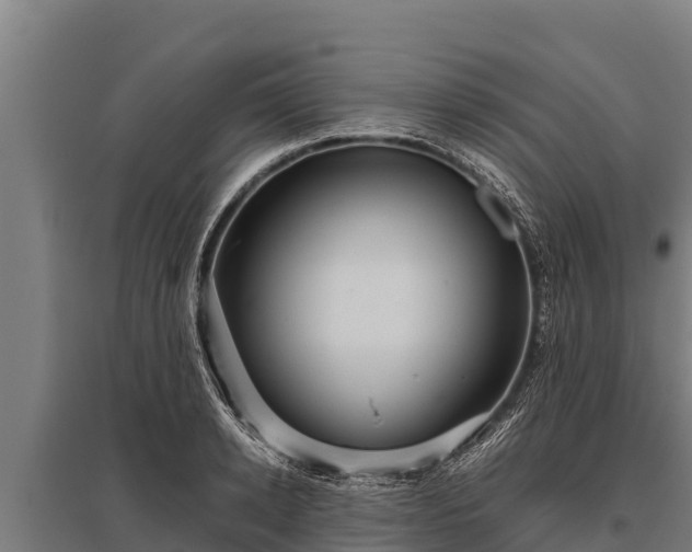 X0000095950942200801181419