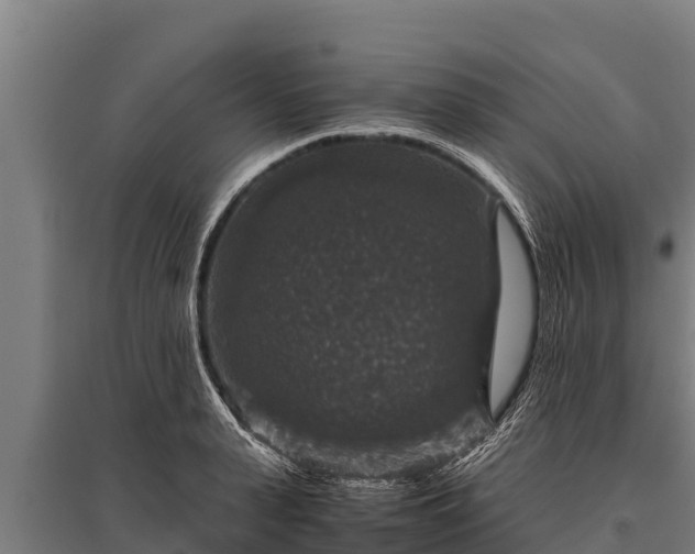 X0000095950943200801181419