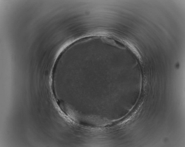 X0000095950944200801181419