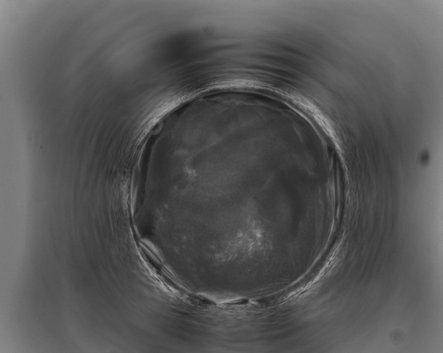 X0000095950945200801181419