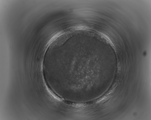 X0000095950946200801181419