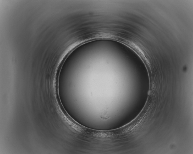 X0000095950947200801181419