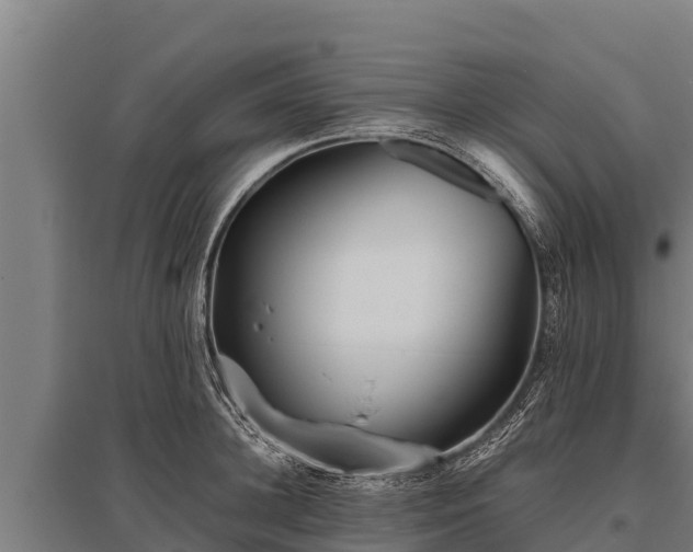 X0000095950948200801181419