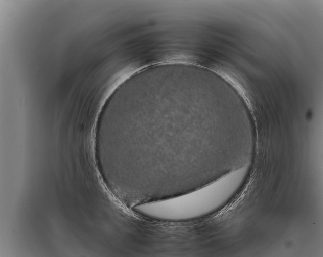 X0000095950949200801181419