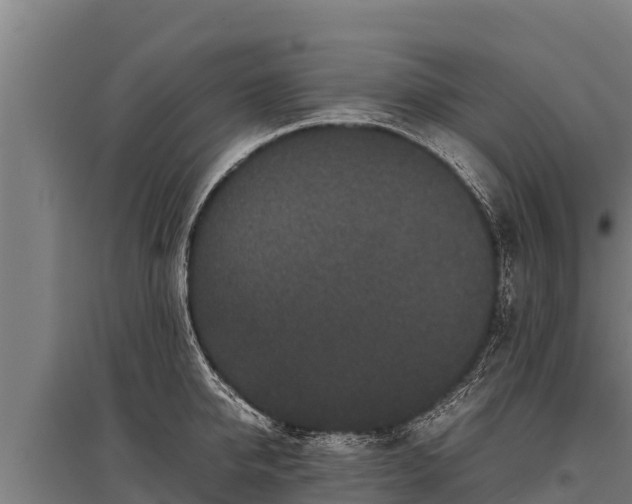 X0000095950950200801181419