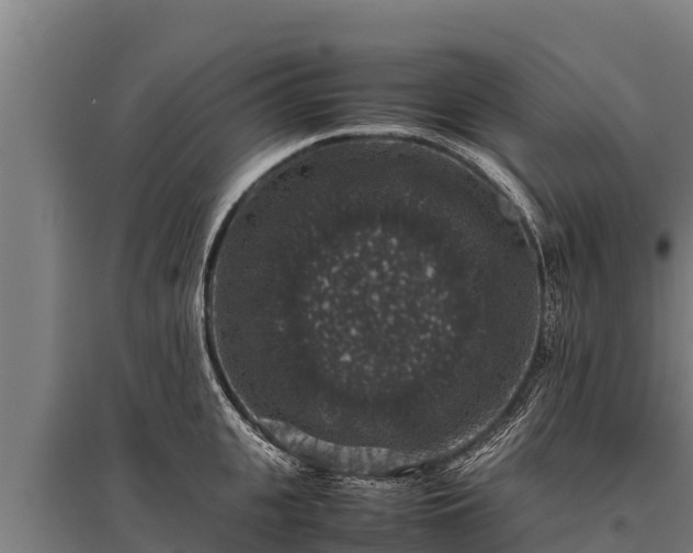 X0000095950951200801181419