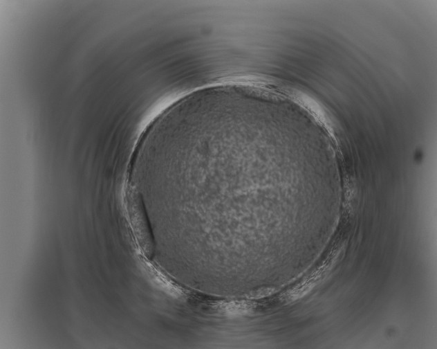 X0000095950952200801181419