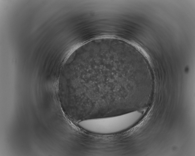 X0000095950953200801181419