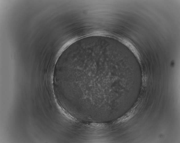 X0000095950954200801181419