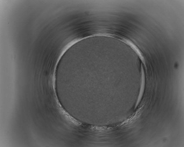 X0000095950955200801181419