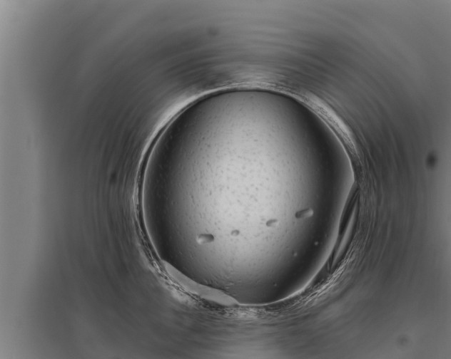 X0000095950956200801181419