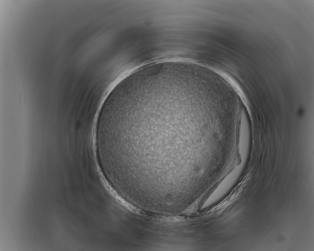 X0000095950957200801181419