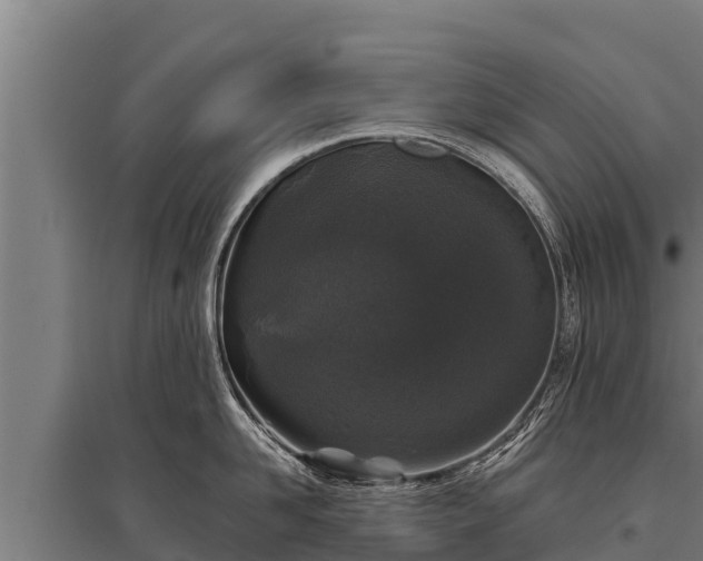 X0000095950958200801181419