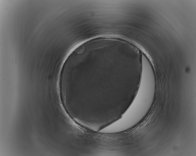 X0000095950959200801181419