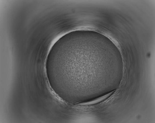 X0000095950960200801181419