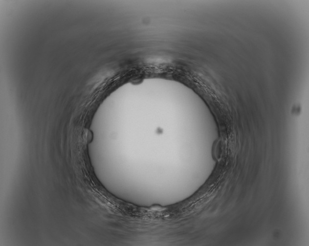 X0000095950961200801181419