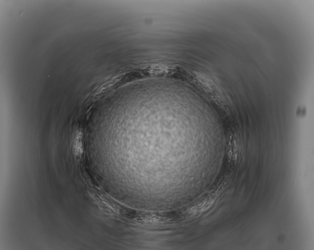 X0000095950962200801181419