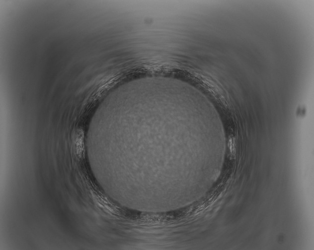 X0000095950963200801181419