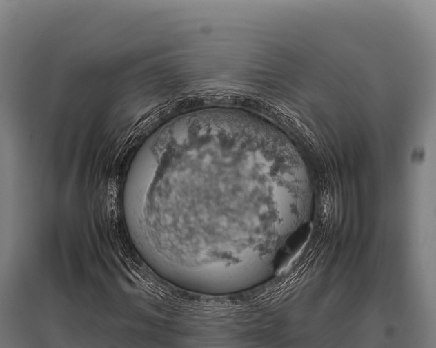 X0000095950964200801181419