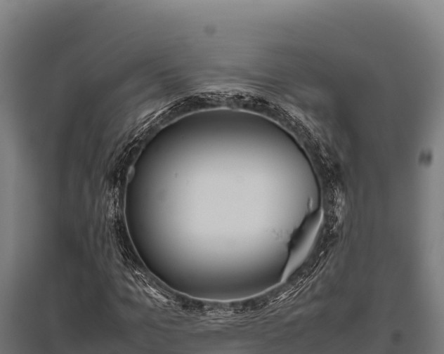 X0000095950965200801181419