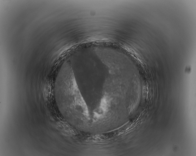 X0000095950966200801181419