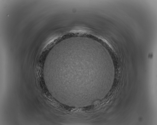 X0000095950967200801181419