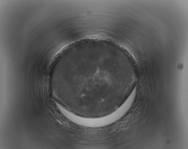 X0000095950968200801181419