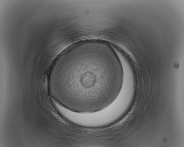 X0000095950969200801181419