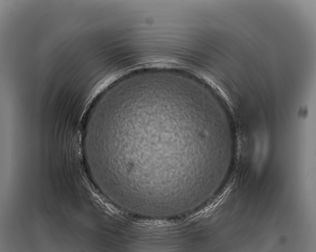 X0000095950970200801181419