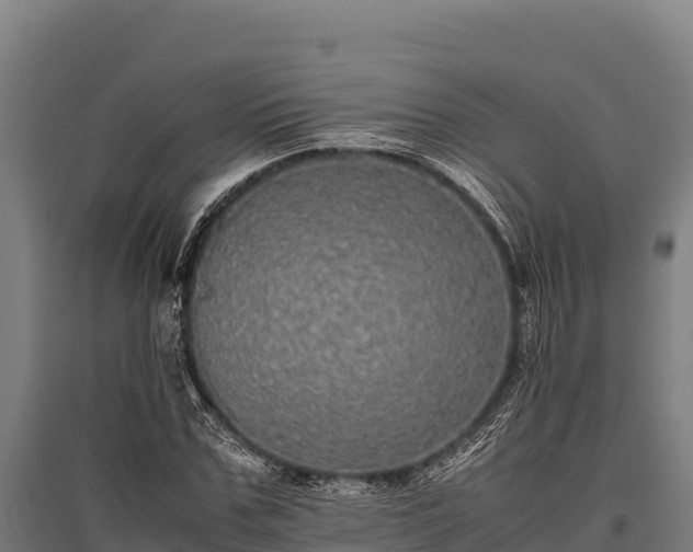 X0000095950971200801181419