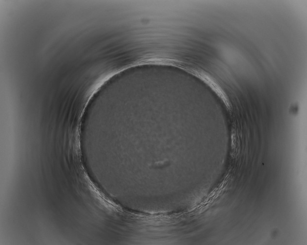 X0000095950972200801181419