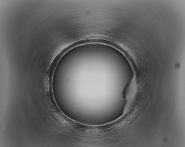 X0000095950973200801181419