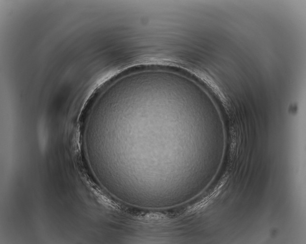 X0000095950974200801181419