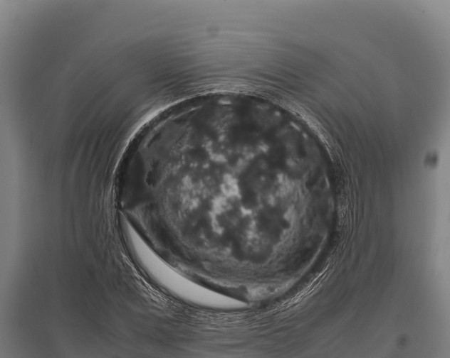 X0000095950975200801181419