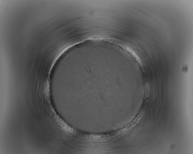 X0000095950976200801181419