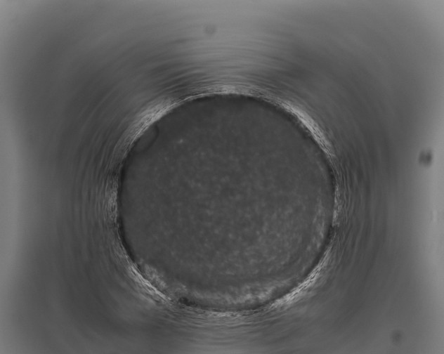 X0000095950977200801181419