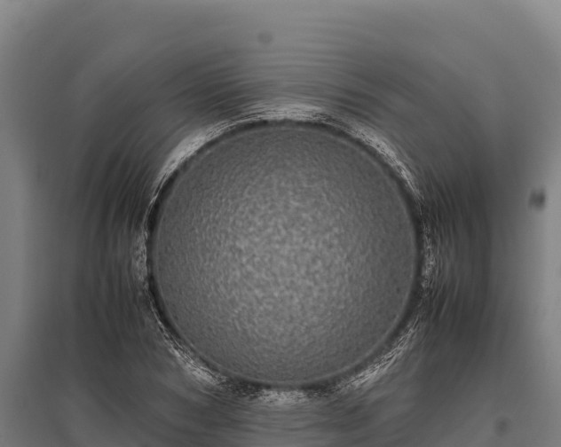 X0000095950978200801181419