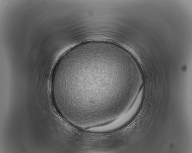 X0000095950979200801181419