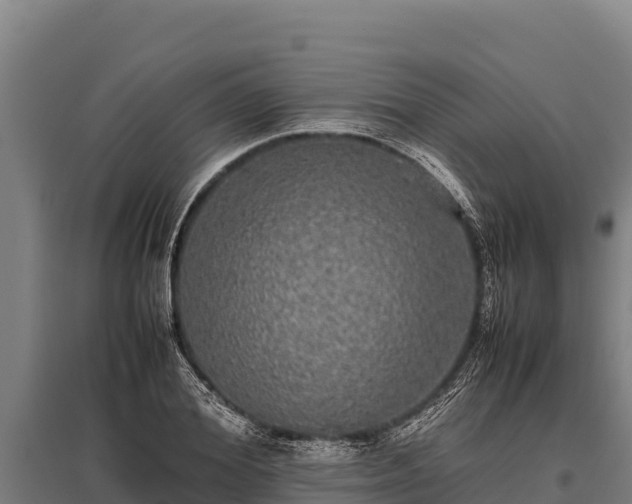 X0000095950980200801181419