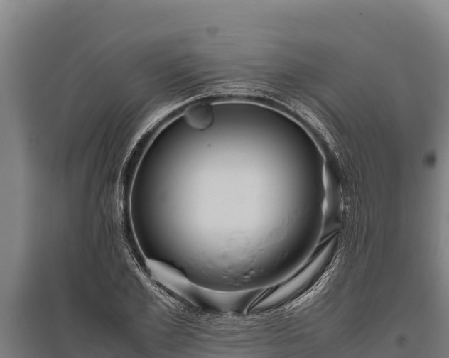 X0000095950981200801181419