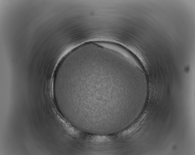 X0000095950982200801181419