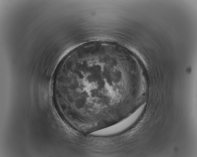 X0000095950983200801181418