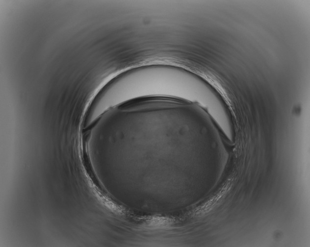 X0000095950984200801181418