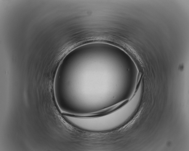 X0000095950985200801181418