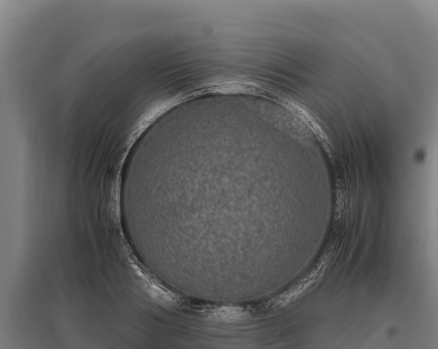 X0000095950986200801181418