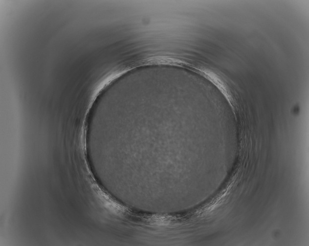 X0000095950987200801181418