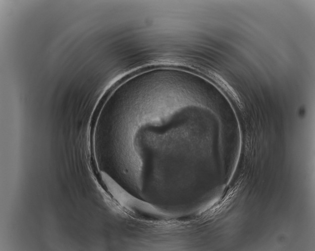 X0000095950988200801181418